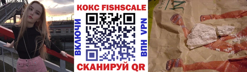 цены наркотик  Заречный  COCAIN Fish Scale 