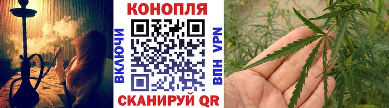 OMG ссылки  Заречный  Бошки Шишки THC 21% 